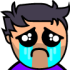 alidpcry twitch emote