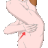 LittleElenafartkilla emote