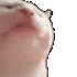 jaidefinichonCatjam emote