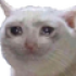 jaidefinichonSad emote