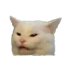 litneyspearspsppsp emote