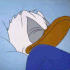 rydaduckmad emote