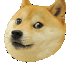 kick_clipzdoggy emote