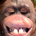 cuffemmonkey emote