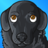 nickmercsJOEY emote