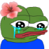 alinarosesaddd emote