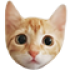 Elraennsimo emote