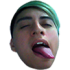 pnkzlenguis emote