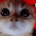 Kick Emote