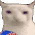 adrianahleeyum emote