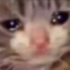 nicolebereniceangry emote