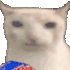payasitazingaea
