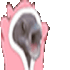 adrianahleeFISHIES emote
