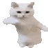 robleisgatod emote