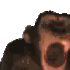 vooltbanicjamonke emote