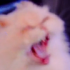 elzeeinjaaa emote