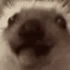 Fawazemote6 emote