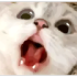 jamalalphaWHAT emote
