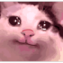 jamalalphaHCHOMA emote