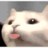 jamalalphaHAMD emote