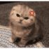 jamalalphaNN emote