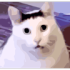 jamalalphaHAAA emote