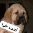 ganowrwr emote