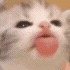 jalta1 emote