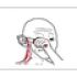 abdulrhmanabdulrhman7 emote