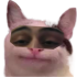 abzPolite emote