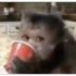 iabs8rd emote