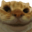 warasi emote