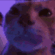 waracolors emote