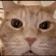 waraJAJAJA emote