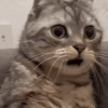 xtroetshock emote