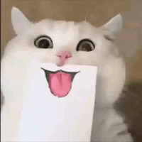 payasitazingXD