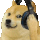 jammin247Doge