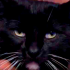 urugoddgatosexo emote