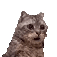 jsimon-10vbsa23344 Emote - Kick Emote Details - Kick Stats