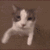 1wdwd1 emote