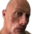 1wdwd2 emote