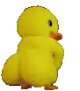 esssqueducky