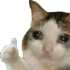 Thabah4 emote