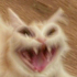 Thabah5 emote