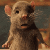 elmacariusrata emote