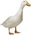 elmacariusganzo emote