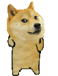 raydinDogDance emote