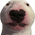 farfadoxwalter emote