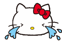 zullyy_cssad emote