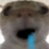 reitegronebrainrot emote